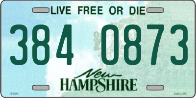 NH license plate 3840873