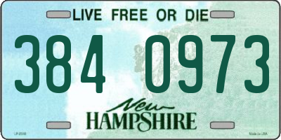 NH license plate 3840973