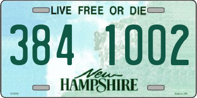 NH license plate 3841002
