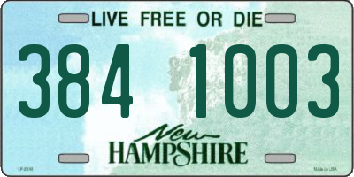 NH license plate 3841003