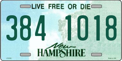 NH license plate 3841018