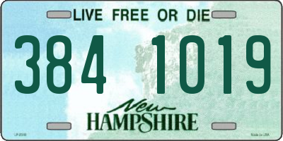 NH license plate 3841019