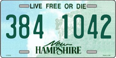 NH license plate 3841042