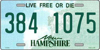 NH license plate 3841075