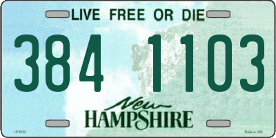 NH license plate 3841103