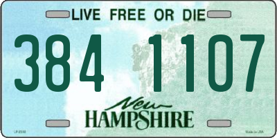 NH license plate 3841107
