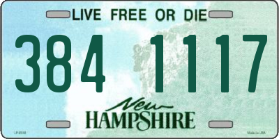 NH license plate 3841117