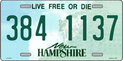 NH license plate 3841137