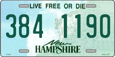 NH license plate 3841190
