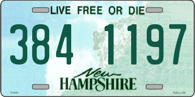 NH license plate 3841197