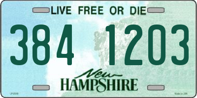 NH license plate 3841203