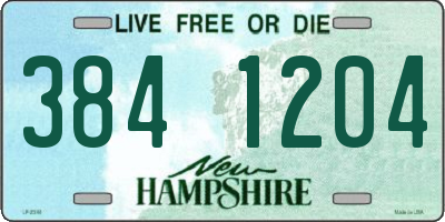 NH license plate 3841204