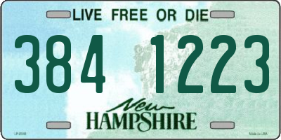 NH license plate 3841223