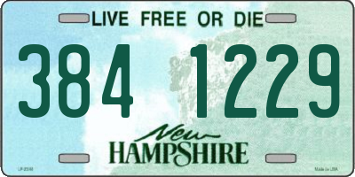 NH license plate 3841229