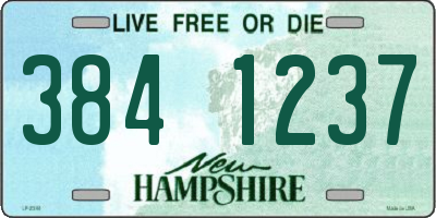 NH license plate 3841237