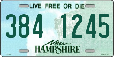 NH license plate 3841245