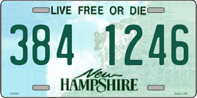 NH license plate 3841246