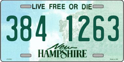 NH license plate 3841263