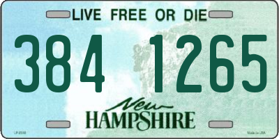 NH license plate 3841265