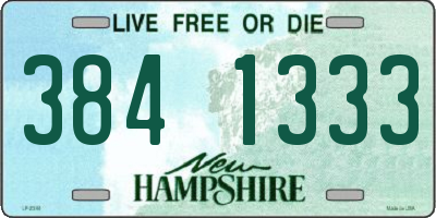 NH license plate 3841333