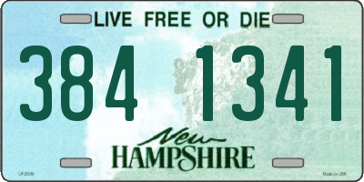 NH license plate 3841341