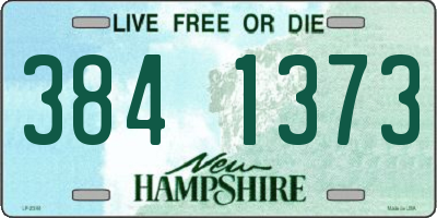 NH license plate 3841373