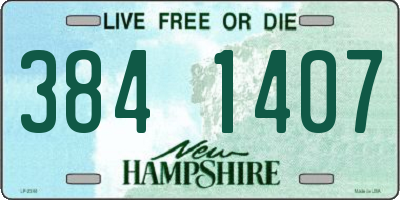 NH license plate 3841407