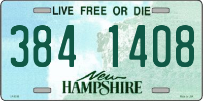 NH license plate 3841408