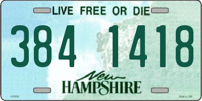 NH license plate 3841418