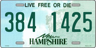 NH license plate 3841425