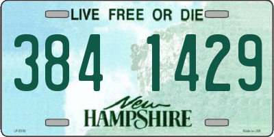 NH license plate 3841429