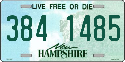 NH license plate 3841485
