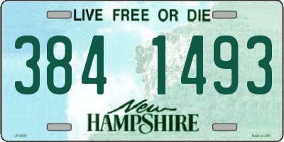 NH license plate 3841493