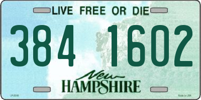 NH license plate 3841602