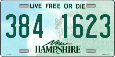 NH license plate 3841623