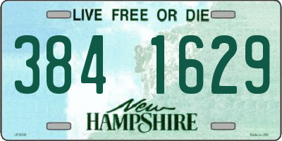 NH license plate 3841629