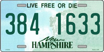 NH license plate 3841633