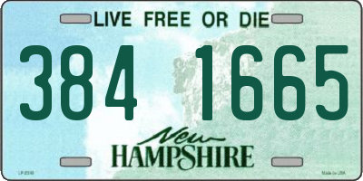 NH license plate 3841665
