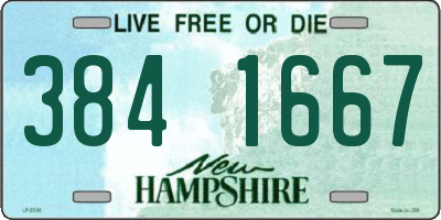 NH license plate 3841667