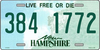 NH license plate 3841772
