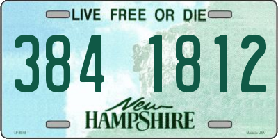 NH license plate 3841812