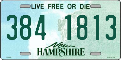 NH license plate 3841813