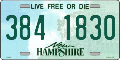 NH license plate 3841830