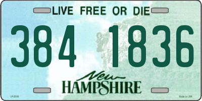 NH license plate 3841836