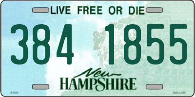 NH license plate 3841855