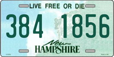 NH license plate 3841856