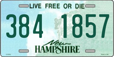 NH license plate 3841857