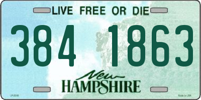 NH license plate 3841863