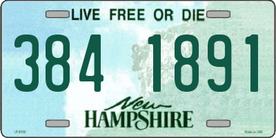 NH license plate 3841891
