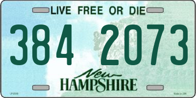 NH license plate 3842073
